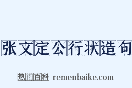 张文定公行状造句是什么意思的图片
